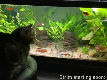 booker_baxton Image 14