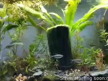 booker_baxton Image 17