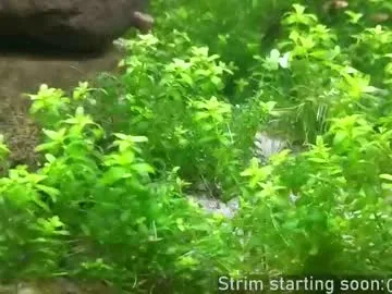 booker_baxton Image 8