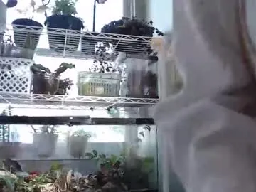 constantcumquest Image 17