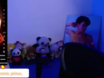 dominicprince Image 19