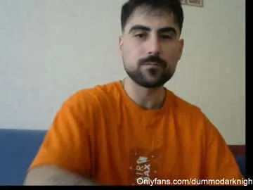 dummodarknight Image 16