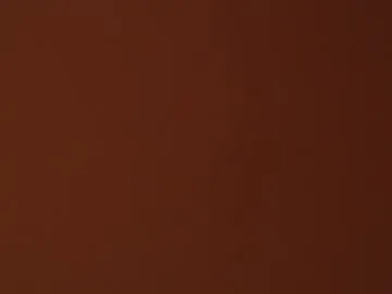 evelyn_sandoval Image 15