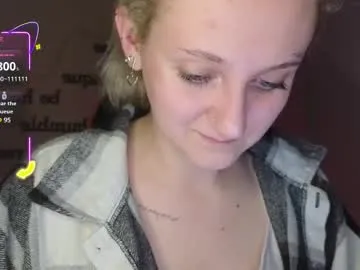 frosty_blueberries4 Image 3