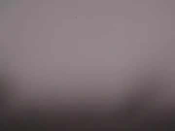 littleviki_ Image 10