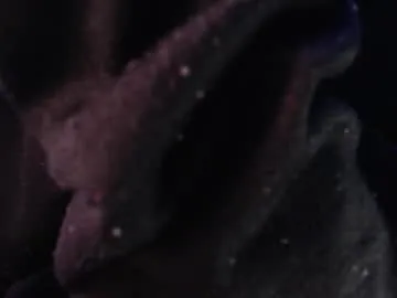 pato_lavida Image 12