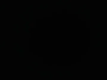 pato_lavida Image 17