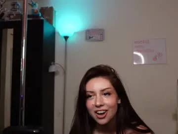 stardust_seiya Image 2