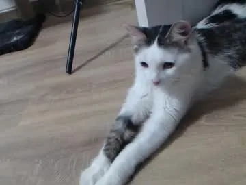 theysaidimcute Image 8